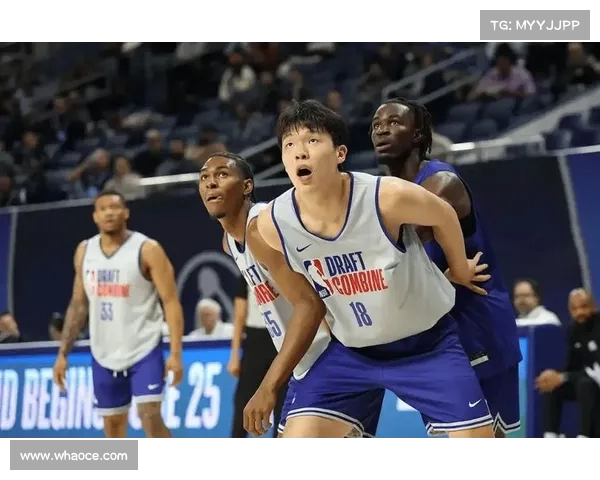 NBA球迷社区：探索篮球热潮与球迷文化的无尽魅力与深度交流