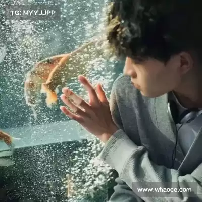 卢澄凡